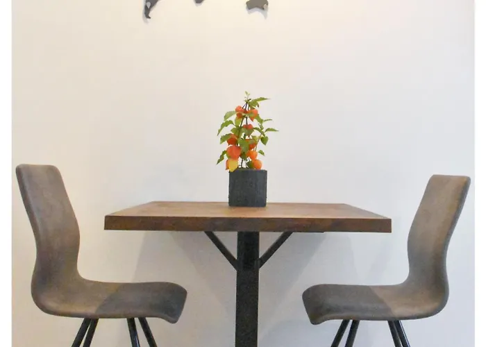 Easy Flat Hyrtlgasse